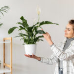 Mujer cuidando las plantas de su hogar