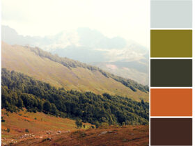 La belleza de los colores en la naturaleza: Descubre la paleta de la madre tierra