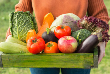 Alimentos Orgánicos