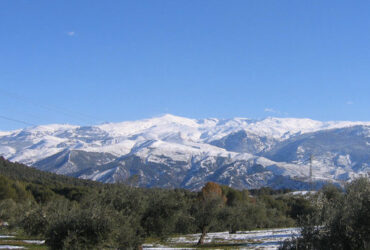 sierra nevada