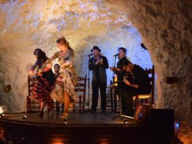 flamenco