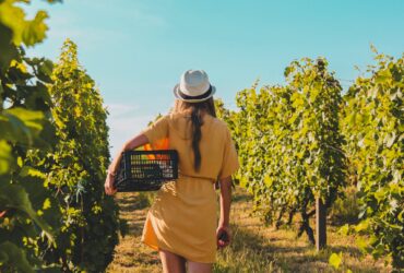 Descubre los destinos más excitantes para el turismo enológico enoturismo-américa