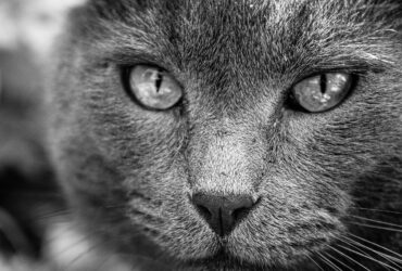 Descubre el Significado de Soñar Jugando con Niños: Análisis Profundo de los Sueños significado de sonar jugando con ninos