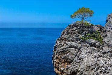 Descubre el Significado de Soñar con Sapos: Interpretaciones y Simbolismos Profundos significado de sonar sapos