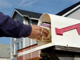 istockphoto 145187081 612x612 1